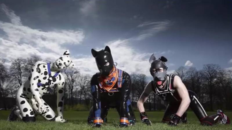 Le fantasme du chiot humain