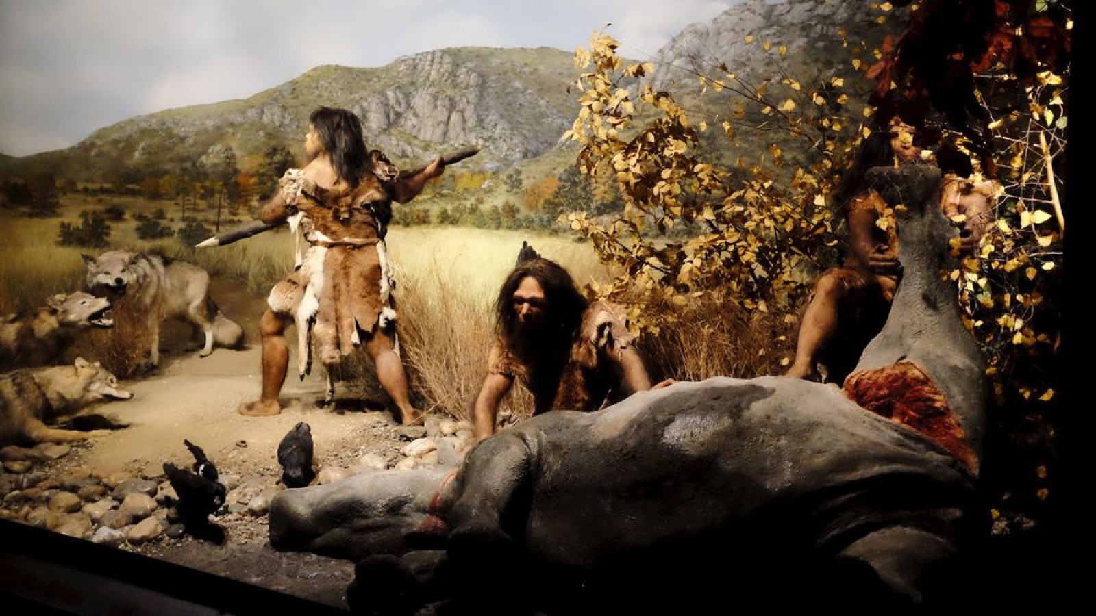 Division du travail et rôles des femmes préhistoriques 2/2