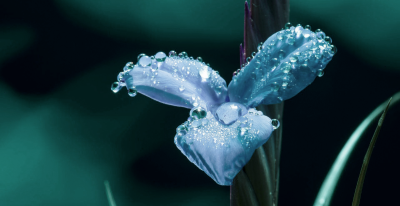 Hypersensibilité, amour et sexualité