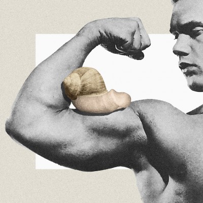 De l'esthétique du pénis, entre présupposés et malentendus